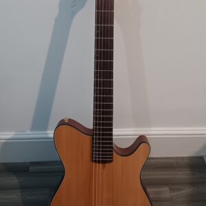 Ibanez FRH10N
