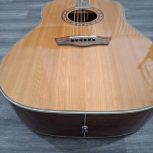washburn WD10s nat acoustic guitar